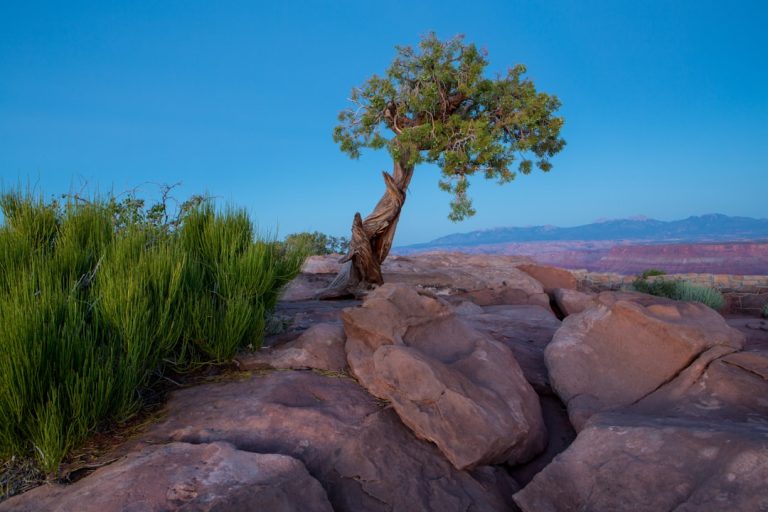 Unleashing Your Inner Explorer: The Thrill of Outdoor Travel Adventures